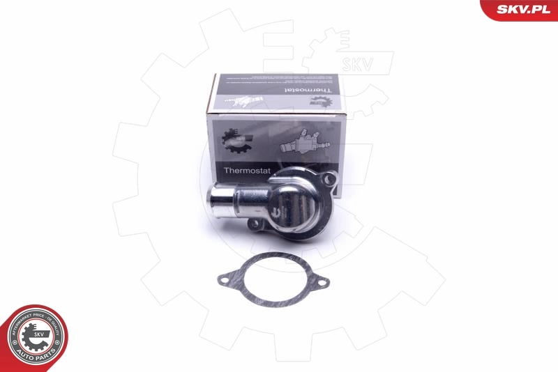 Thermostat, coolant